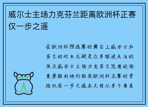 威尔士主场力克芬兰距离欧洲杯正赛仅一步之遥